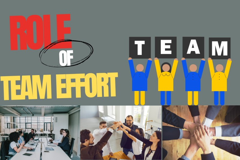 Role of Team Effort